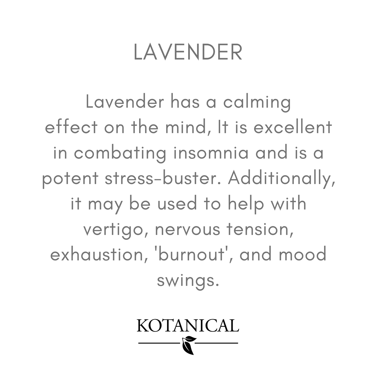 Lavender Essential Oil kotanical 