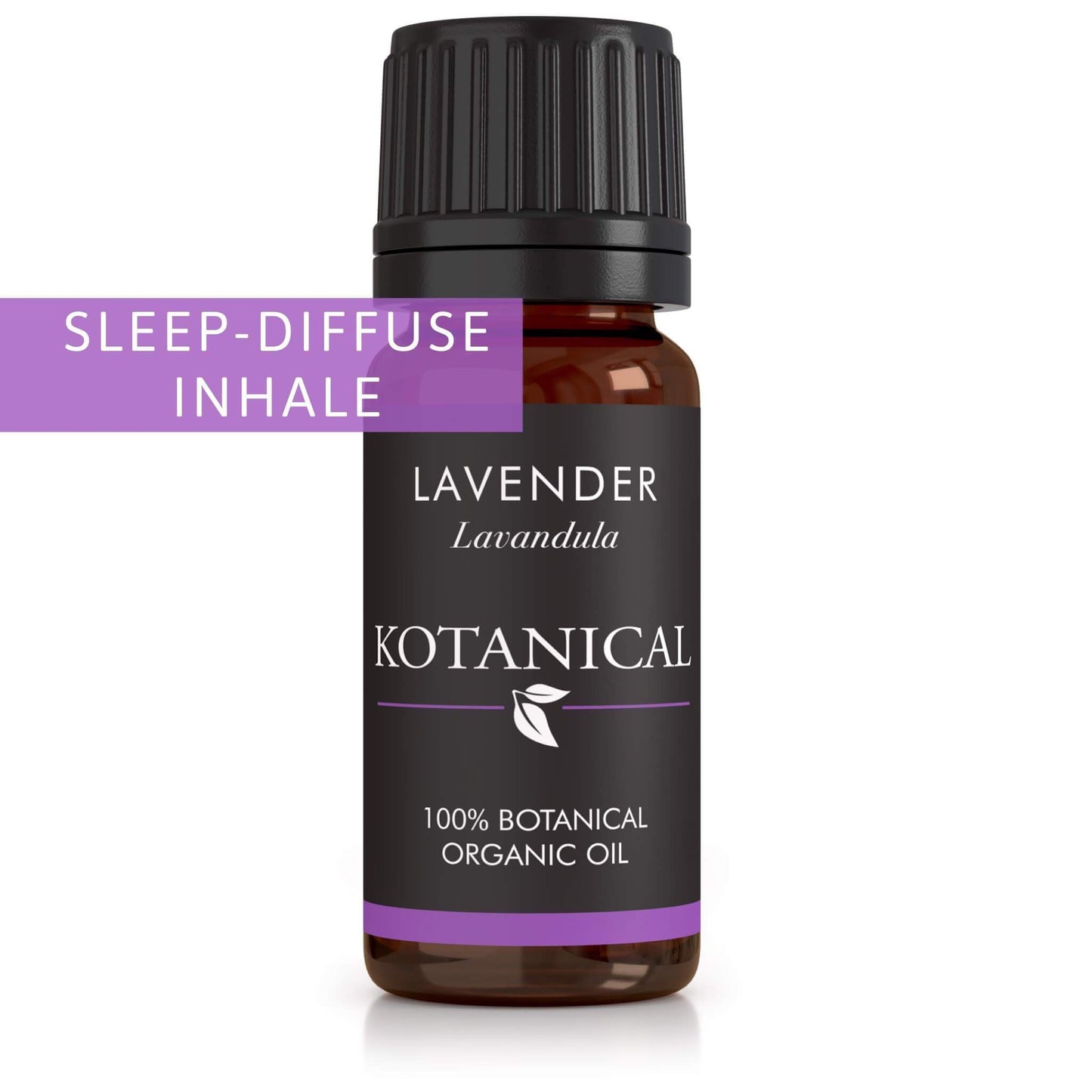 Lavender Essential Oil kotanical 