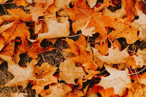 <h1>Our favorite <span style="text-decoration:underline">fall</span> oil</h1>